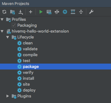 Package Extension