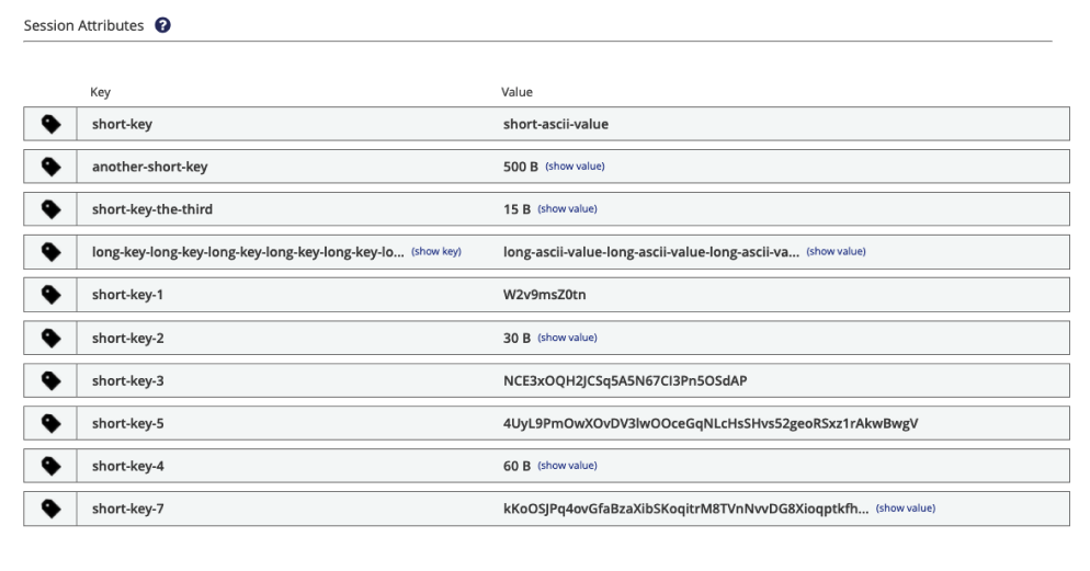 Session Attributes in Client Detail View