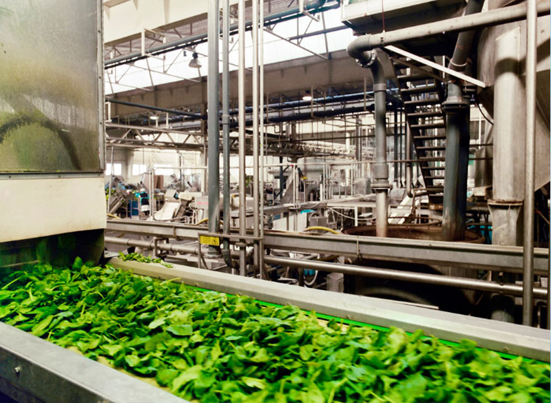 Chemical Manufacturing Process