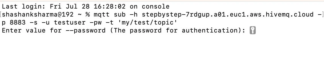 Sending a message using MQTT CLI from HiveMQ Cloud
