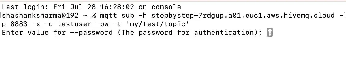 Sending a message using MQTT CLI from HiveMQ Cloud