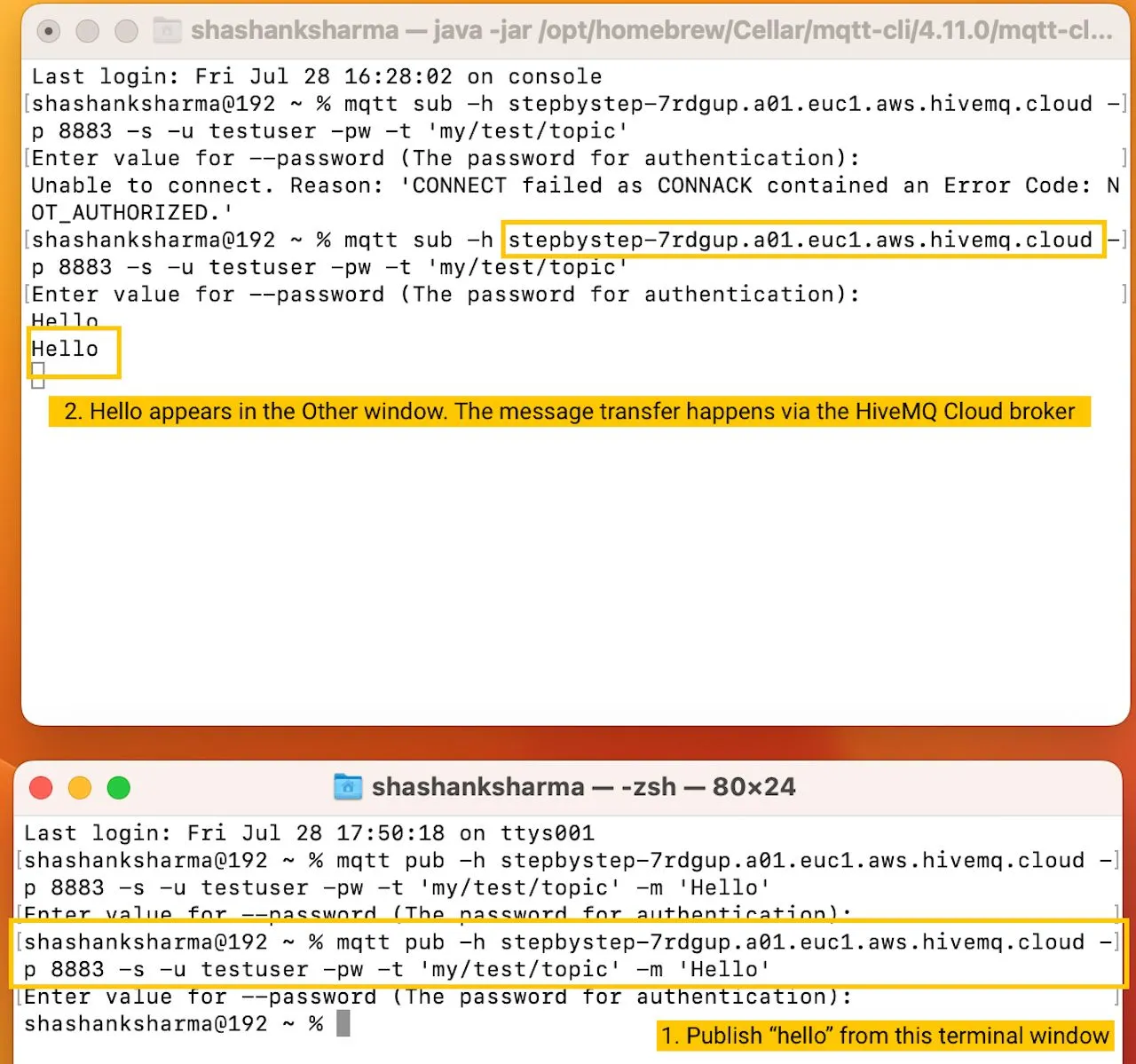 Two terminal windows exchanging messages via HiveMQ Cloud.
