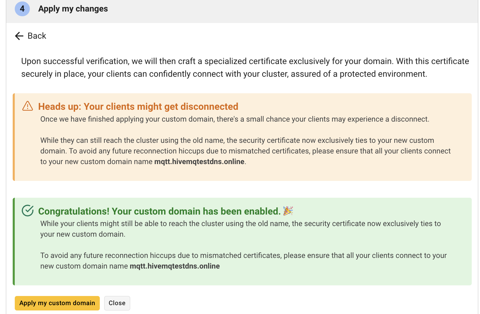 Updating Customized Domain Name on HiveMQ Cloud Starter MQTT Broker