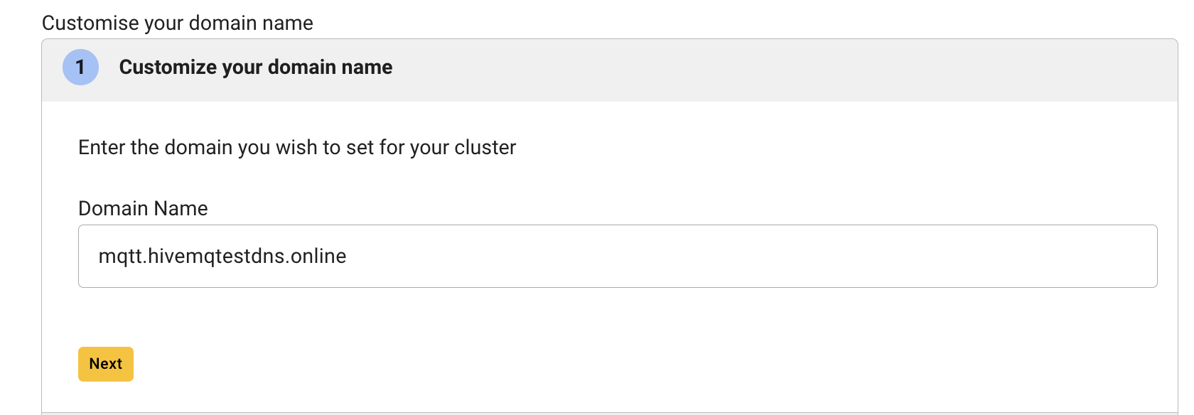 How to enter the custom DNS name that you wish to set for your MQTT cluster?