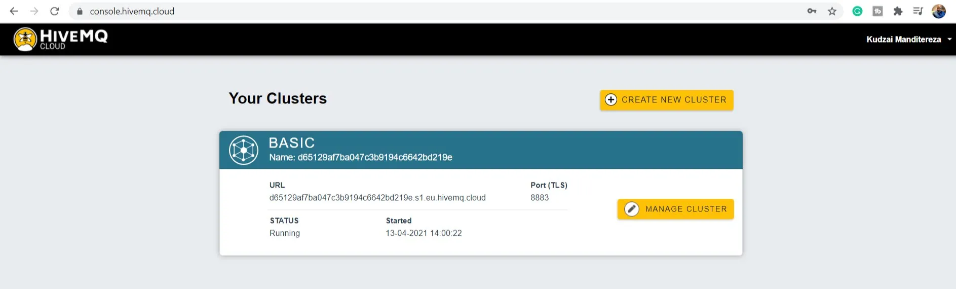 Configure or change your MQTT client credentials under Access Management tab