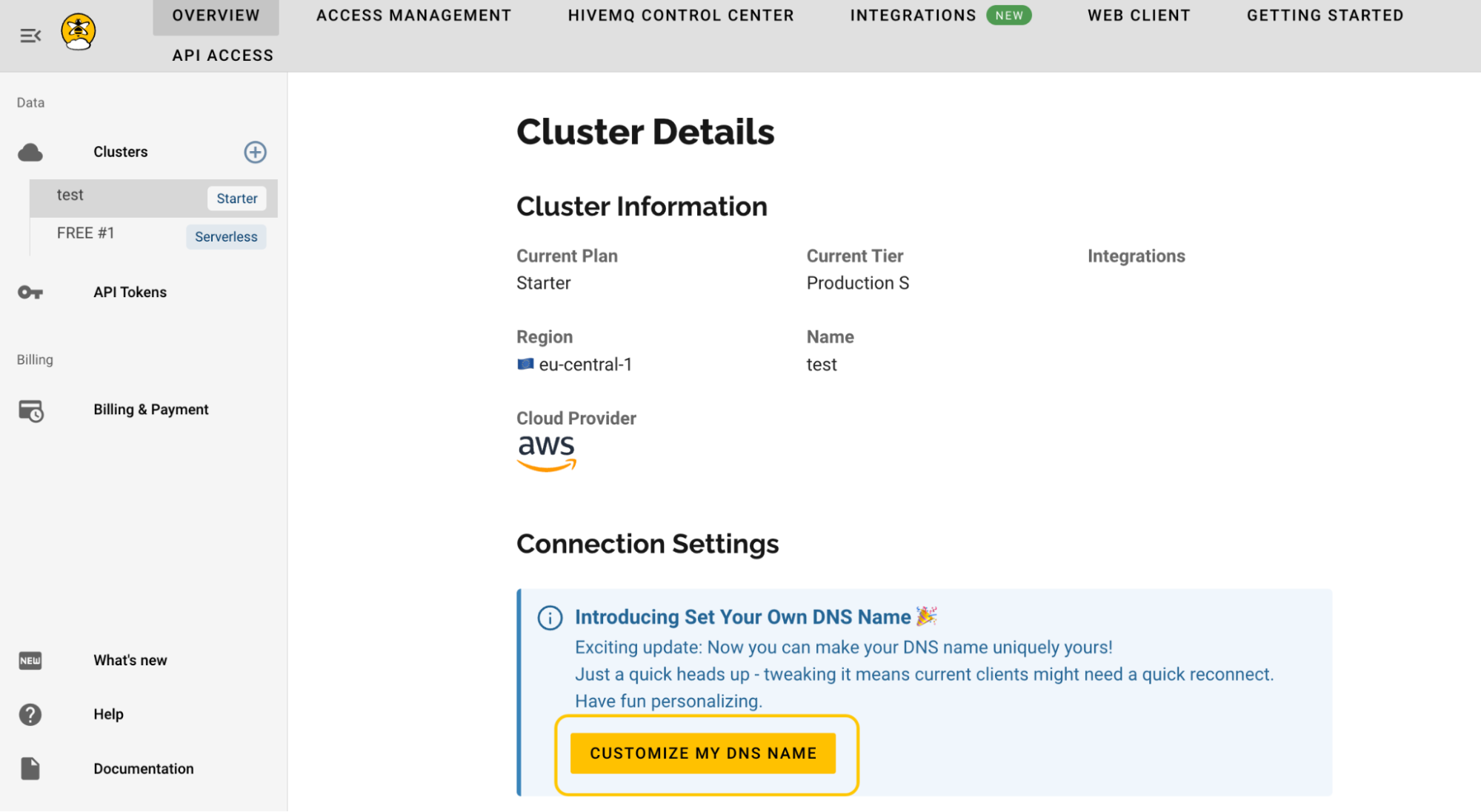 How to access the custom domain name feature in the overview section of your Cloud Starter Cluster?