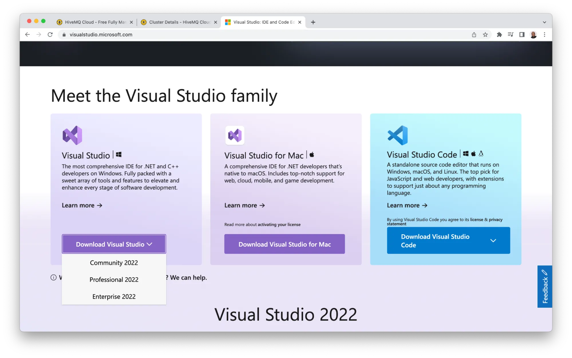 Visual Studio Webpage