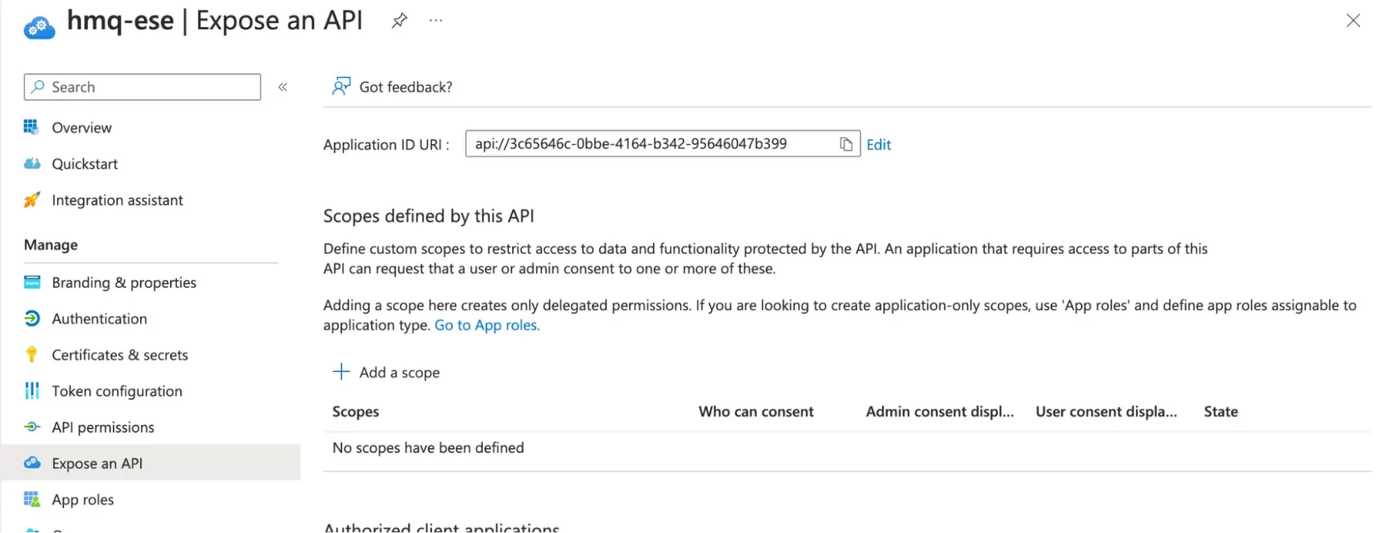 HiveMQ ESE - exposing an API