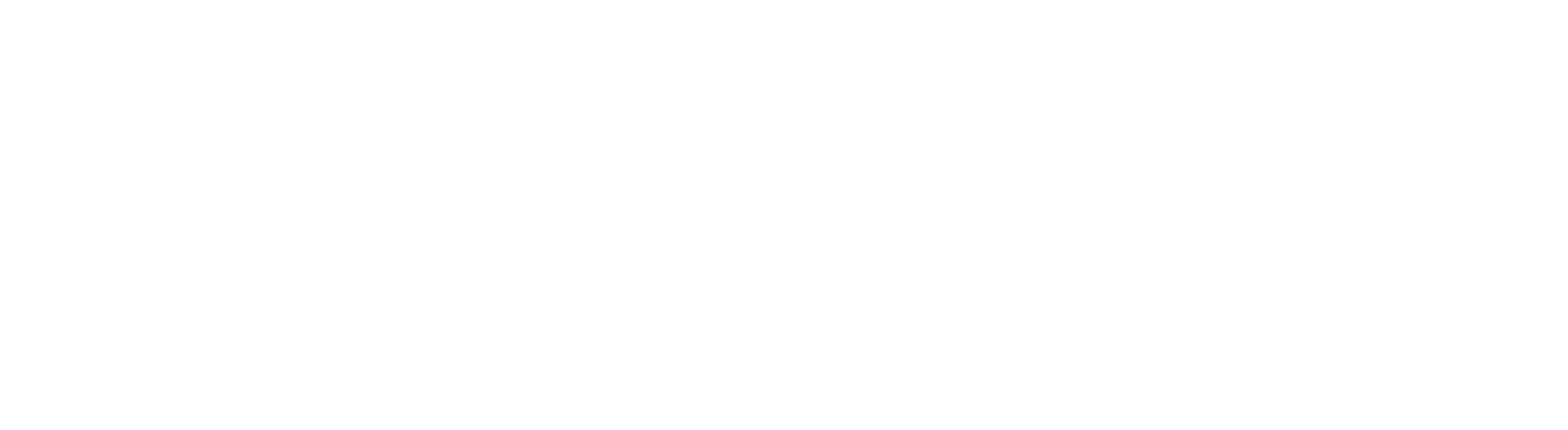 Braveheart Wireless logo