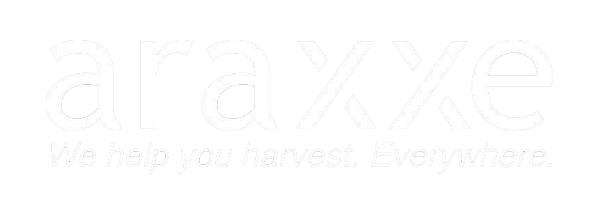 Araxxe