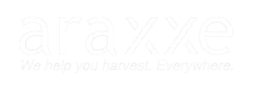 Araxxe logo