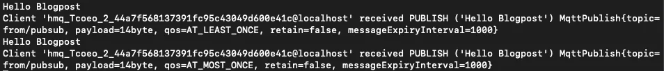 Output of the client with two messages