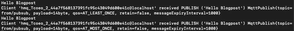 Output of the client with two messages
