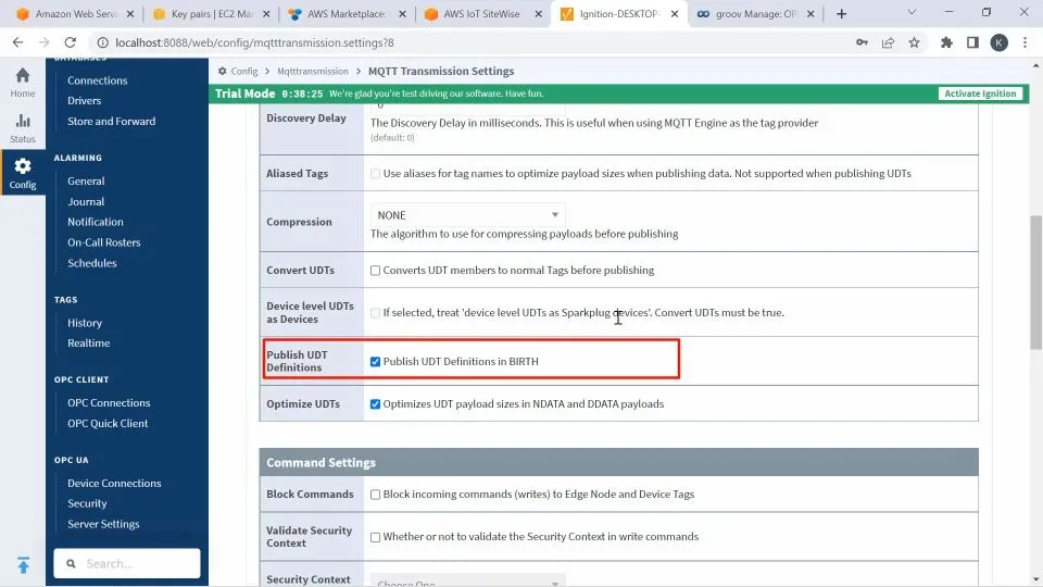 Ensuring Convert UDTs is unchecked and Publish UDT definitions in Birth is checked