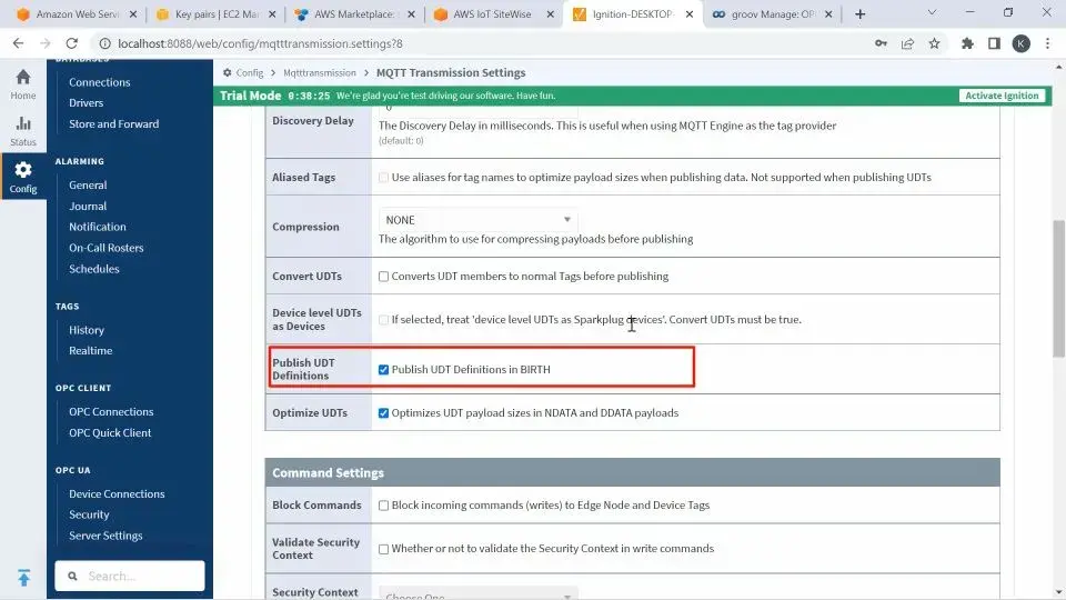Ensuring Convert UDTs is unchecked and Publish UDT definitions in Birth is checked