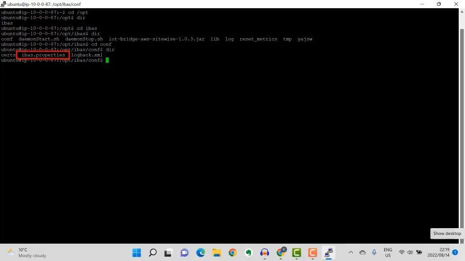 Navigating to /opt/ib/conf/ibas.properties