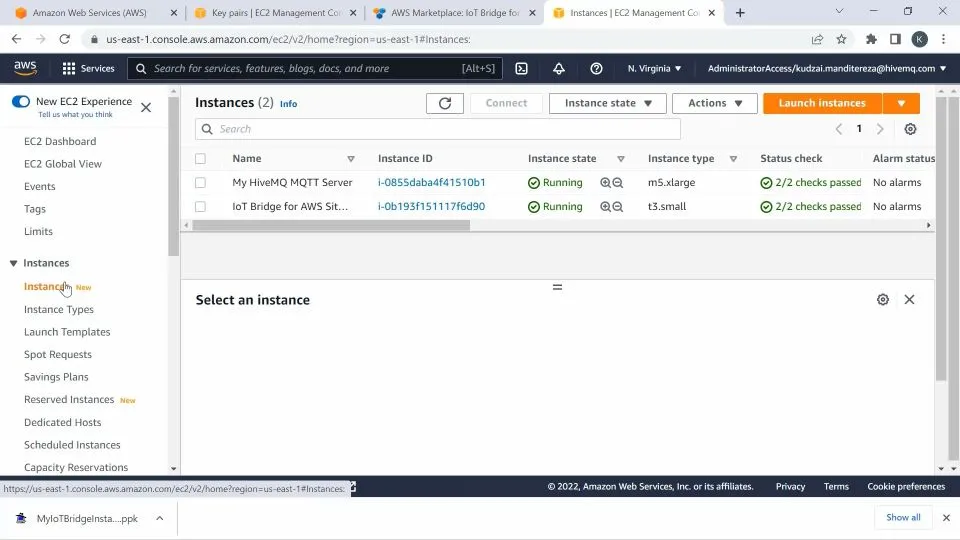 Access the EC2 instance